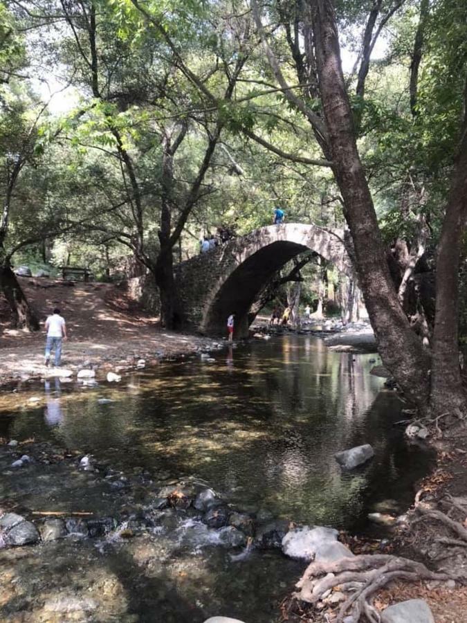 فيلا Salamiou Stone House بافوس المظهر الخارجي الصورة